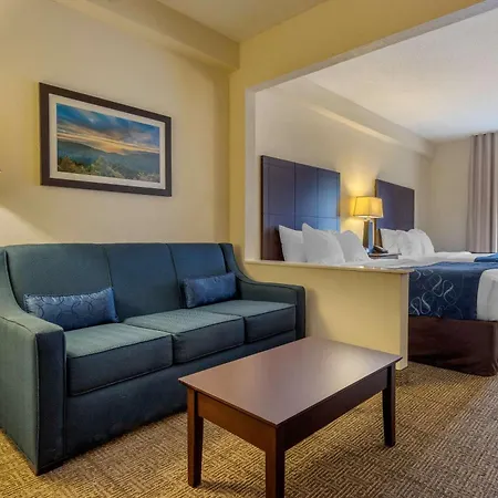 Comfort Suites Gastonia - Charlotte